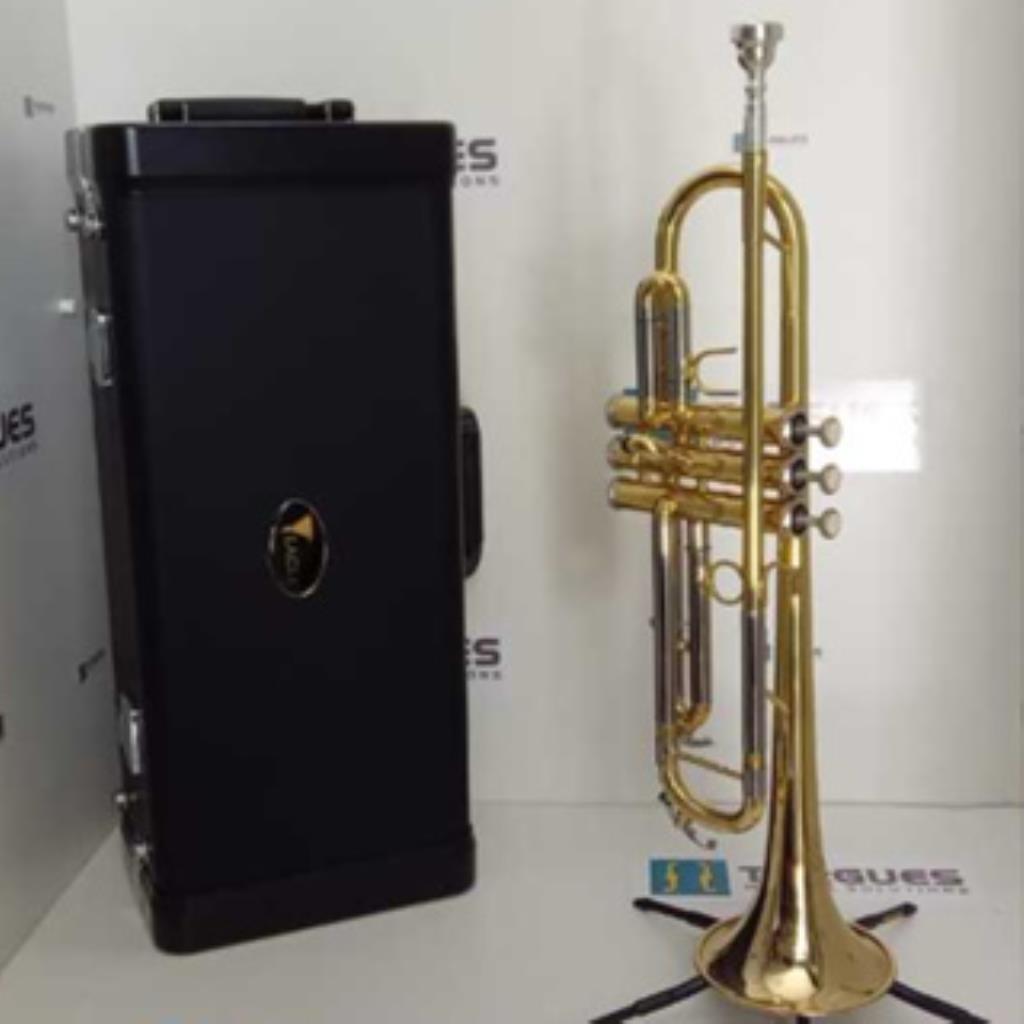 TROMPETE Bb LAQUEADO TR504 EAGLE