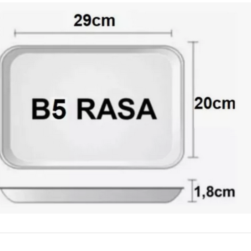 BANDEJA ISOPOR B05 RASA C/ 10 UNIDADES