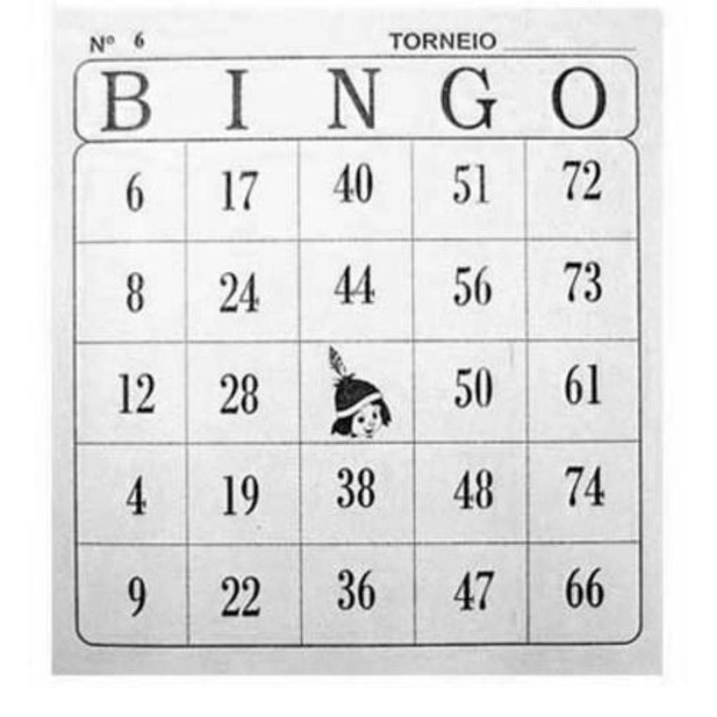 CARTELA DE BINGO C/100FLS TAMOIO