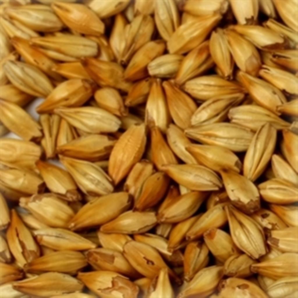 MALTE CHATEAU CARA BLOND 100g
