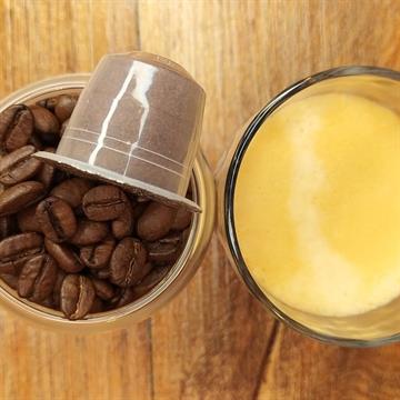 Café Coruja Arábica Especial Premium em Cápsulas 50g