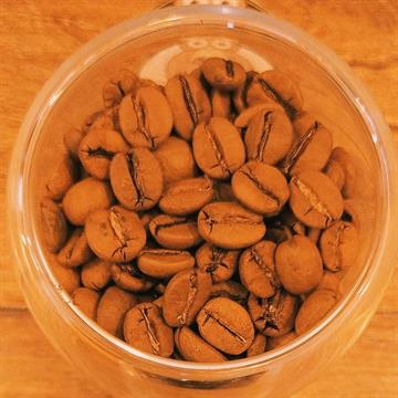 Café Coruja Arábica Gourmet em Grãos 1kg