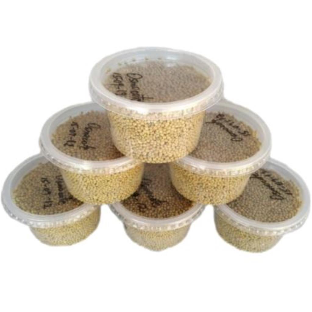 Fertilizante OSMOCOTE 15-09-12  Pote c/ 300g
