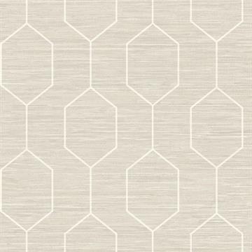 JV - PAPEL DE PAREDE ESPLENDIDO WP0080805