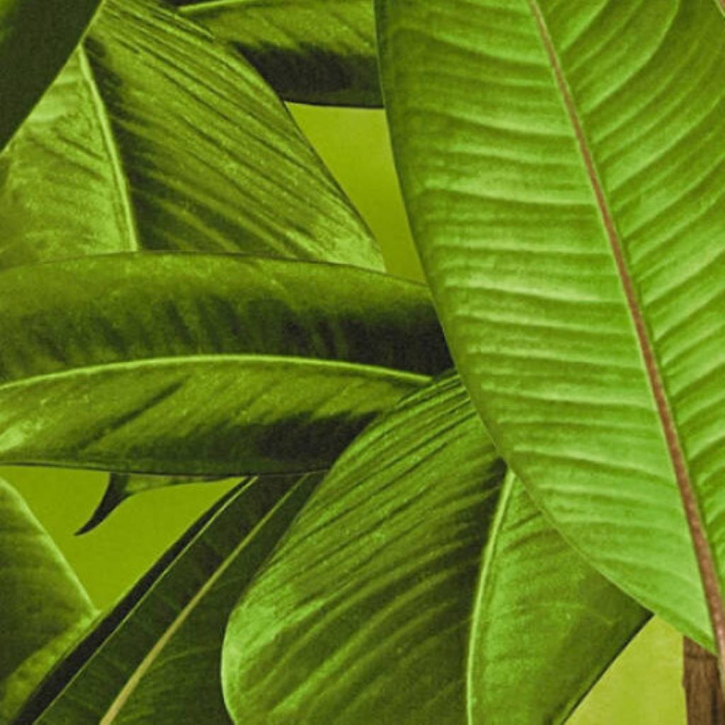 PAPEL DE PAREDE WOOD´N STONE 2  362011