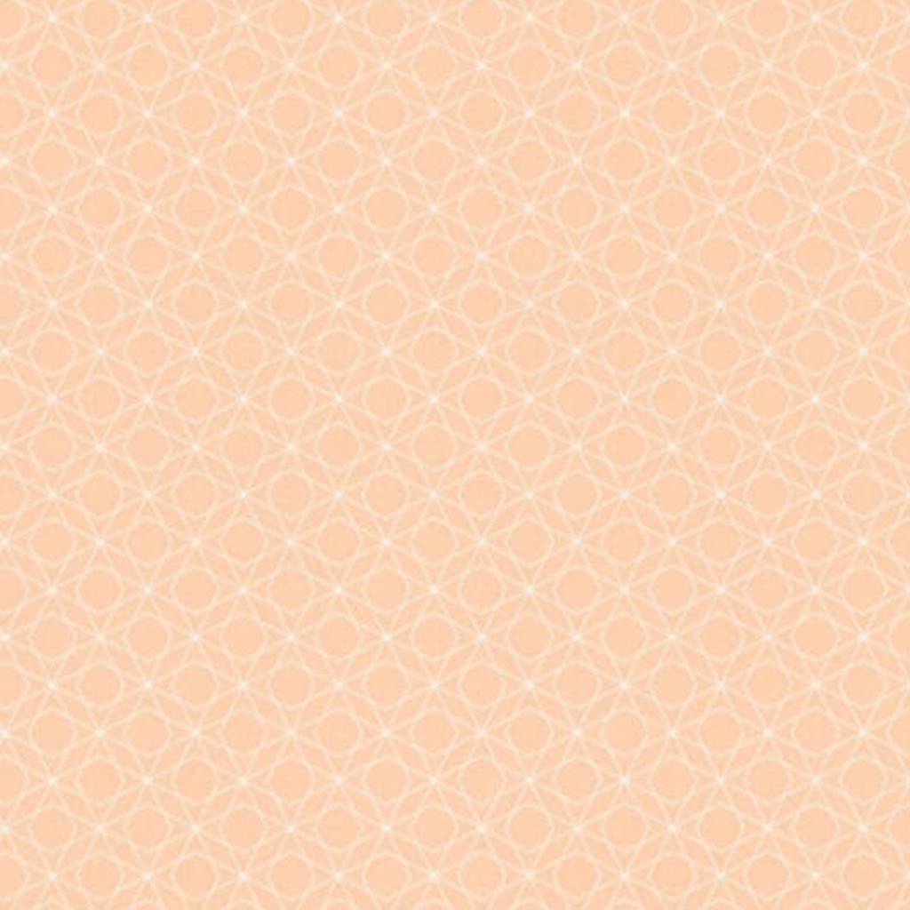 JV - PAPEL DE PAREDE BJORN 351171