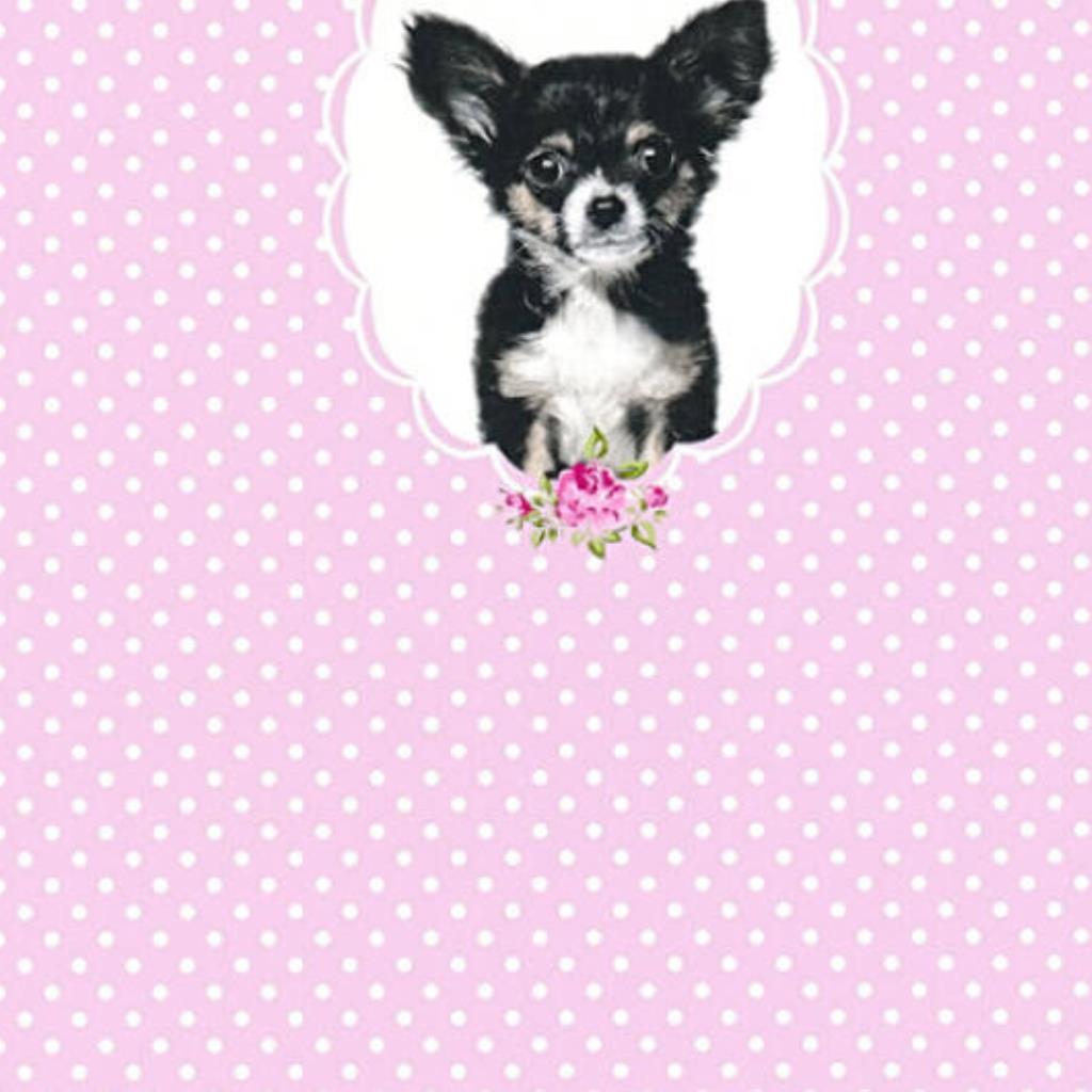 JV - PAPEL DE PAREDE LITTLE STARS 358511