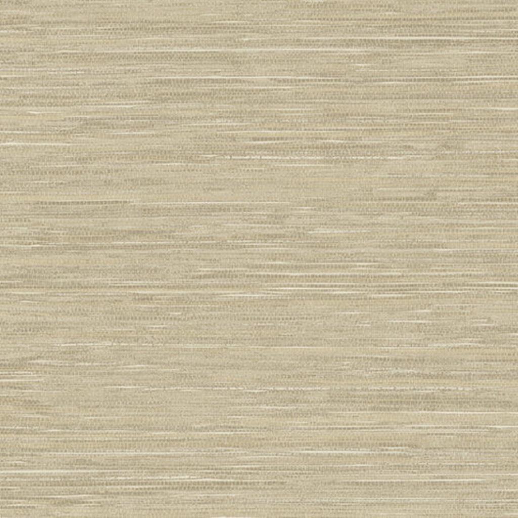 JV - PAPEL DE PAREDE ESPLENDIDO  WP0080907