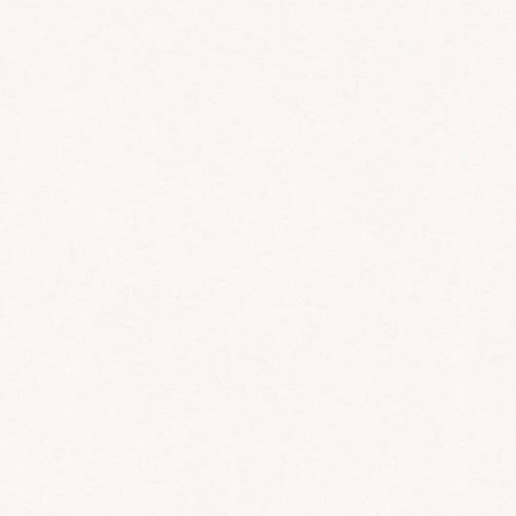 JV - PAPEL DE PAREDE BJORN 349323