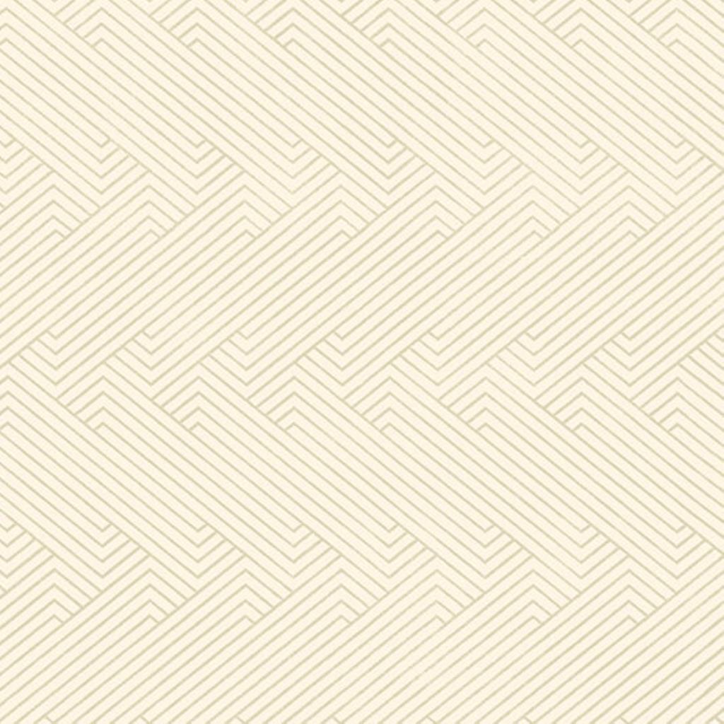 JV - PAPEL DE PAREDE ESPLENDIDO WP0110103