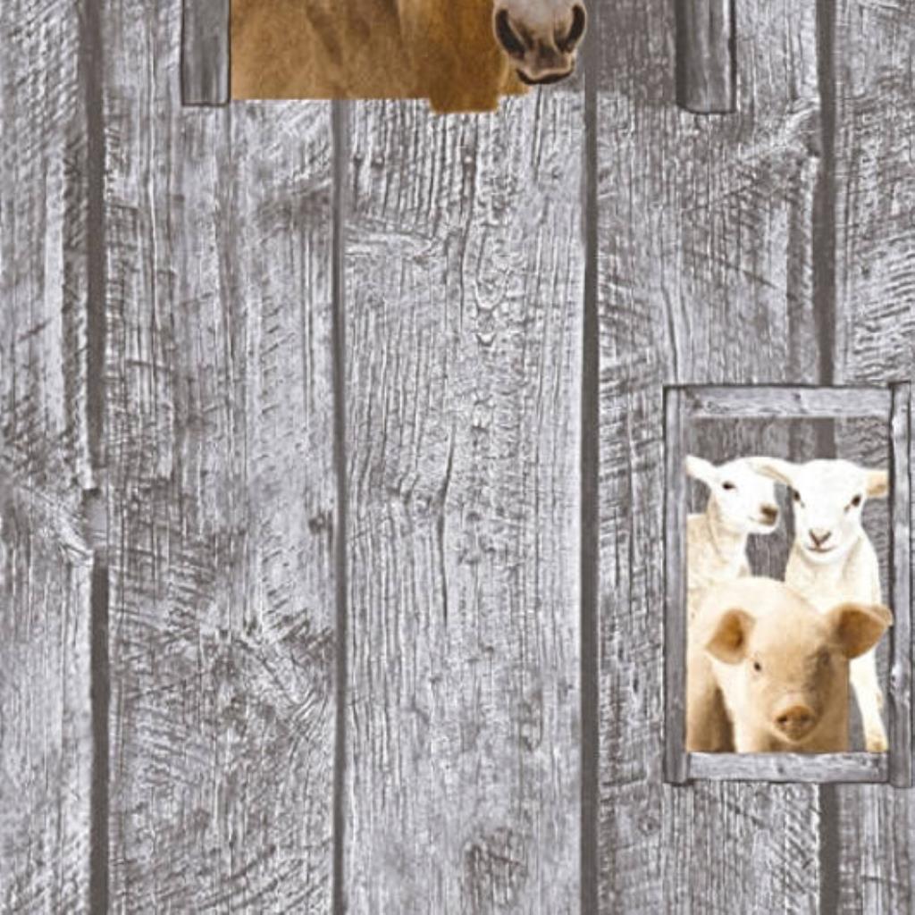 JV - PAPEL DE PAREDE LITTLE STARS 358421