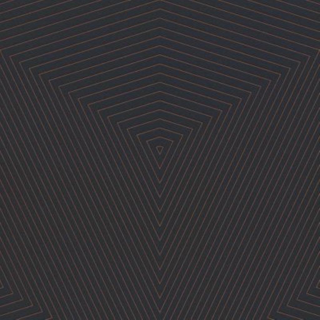 JV- PAPEL DE PAREDE DANIEL HECHTER 6 375226