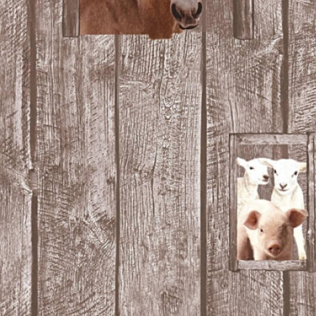 JV - PAPEL DE PAREDE LITTLE STARS 358422