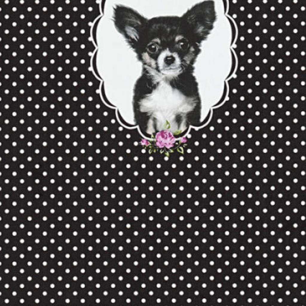 JV - PAPEL DE PAREDE LITTLE STARS 358512