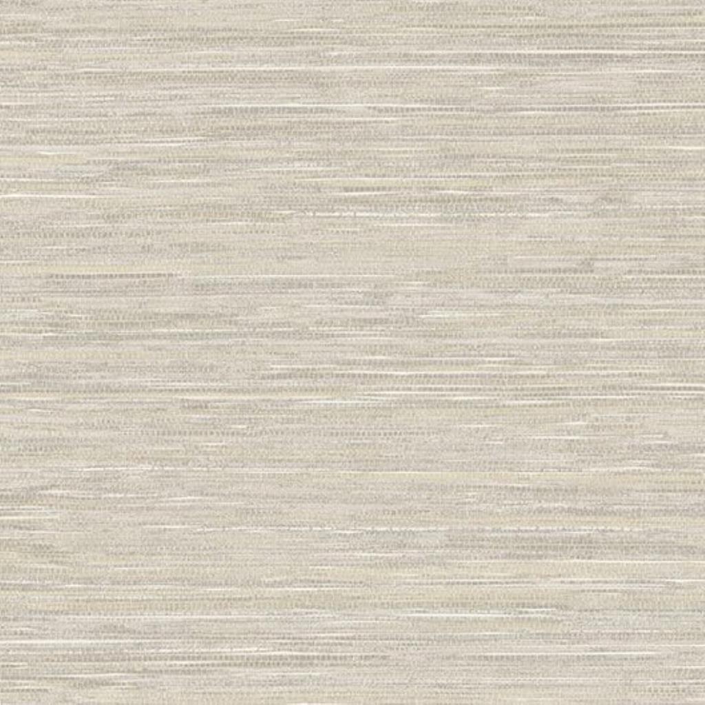 PAPLE DE PAREDE ESPLENDIDO WP0080905