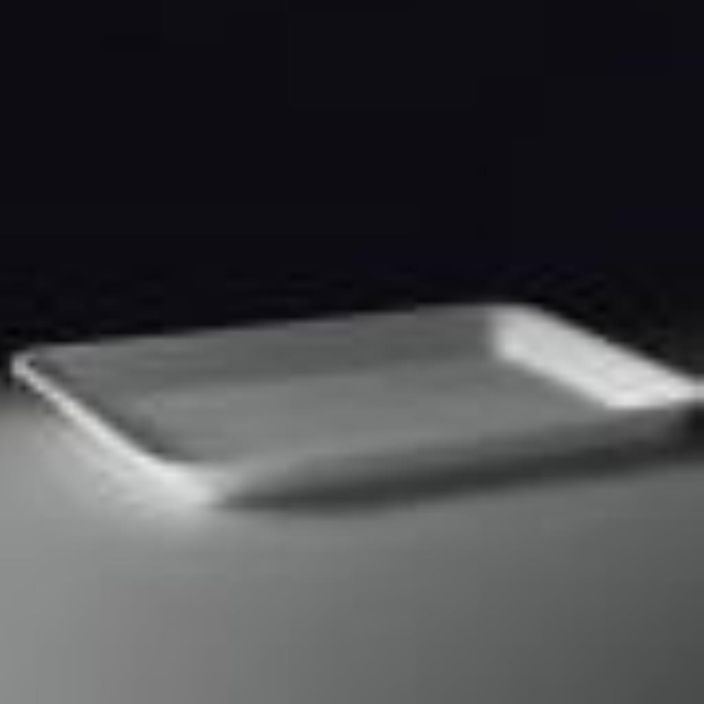 BANDEJA DE ISOPOR B3  18x24 /100