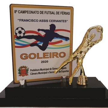 TROFEU GOLEIRO/ARTILHEIRO 25CM