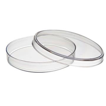 PLACA DE PETRI 6X1,5CM - C/10 UNIDADES