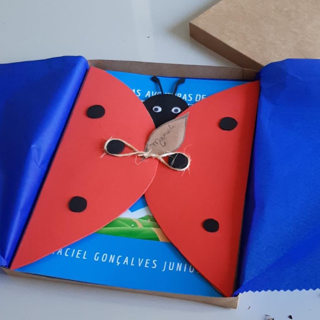 Livro Personalizado embalado em caixa