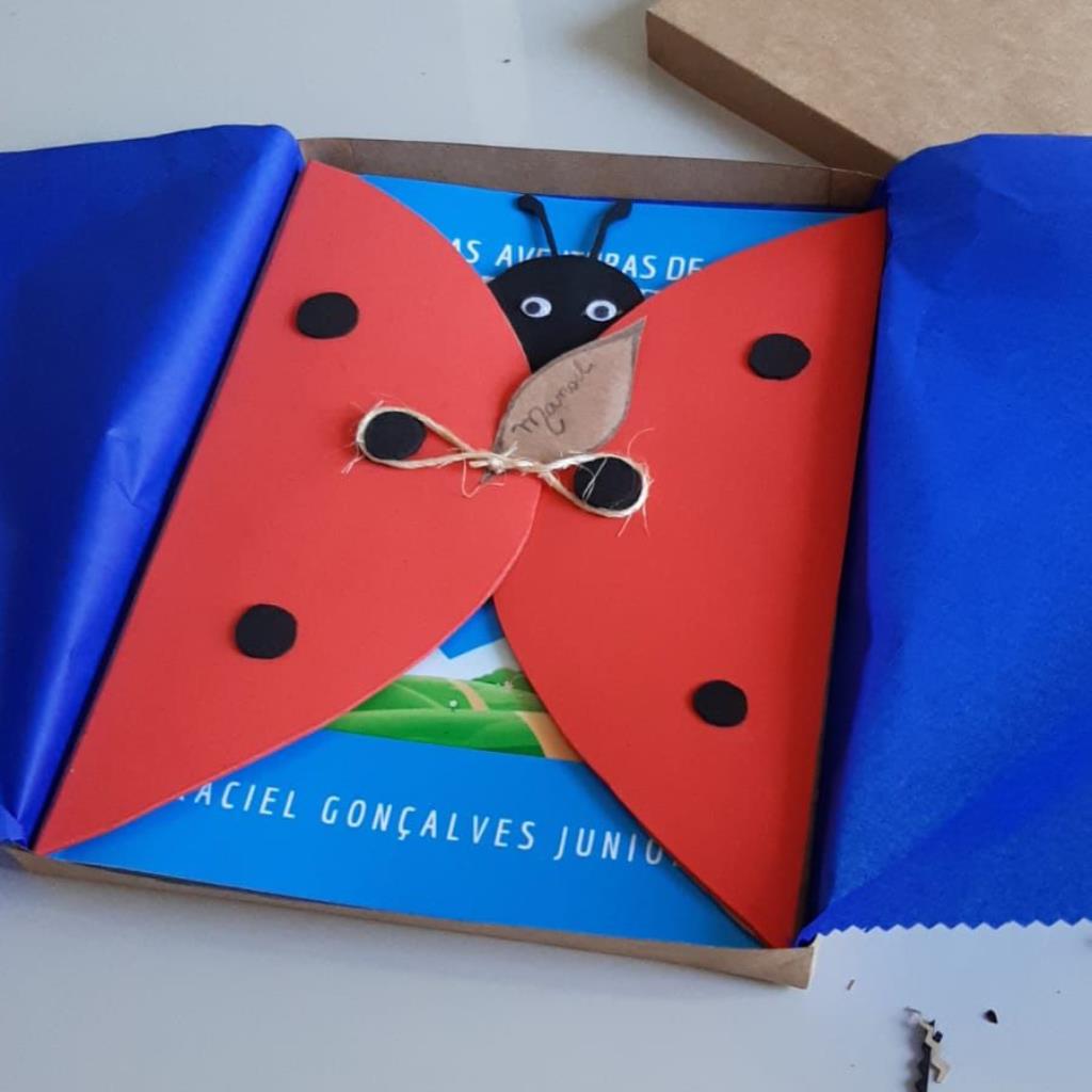 Livro Padrão embalado em caixa