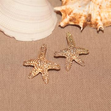 BRINCO ESTRELA DO MAR