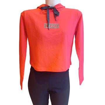 blusa fem moletom 16 cereja rosa