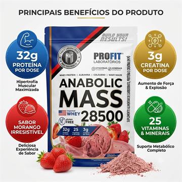 ANABOLIC MASS 28500 PROFIT MORANGO 3KG