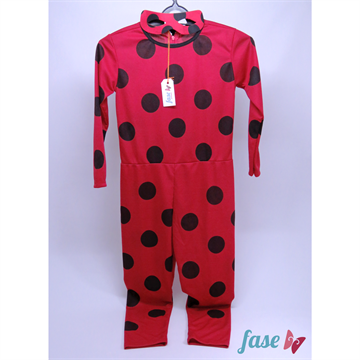 Lady Bug