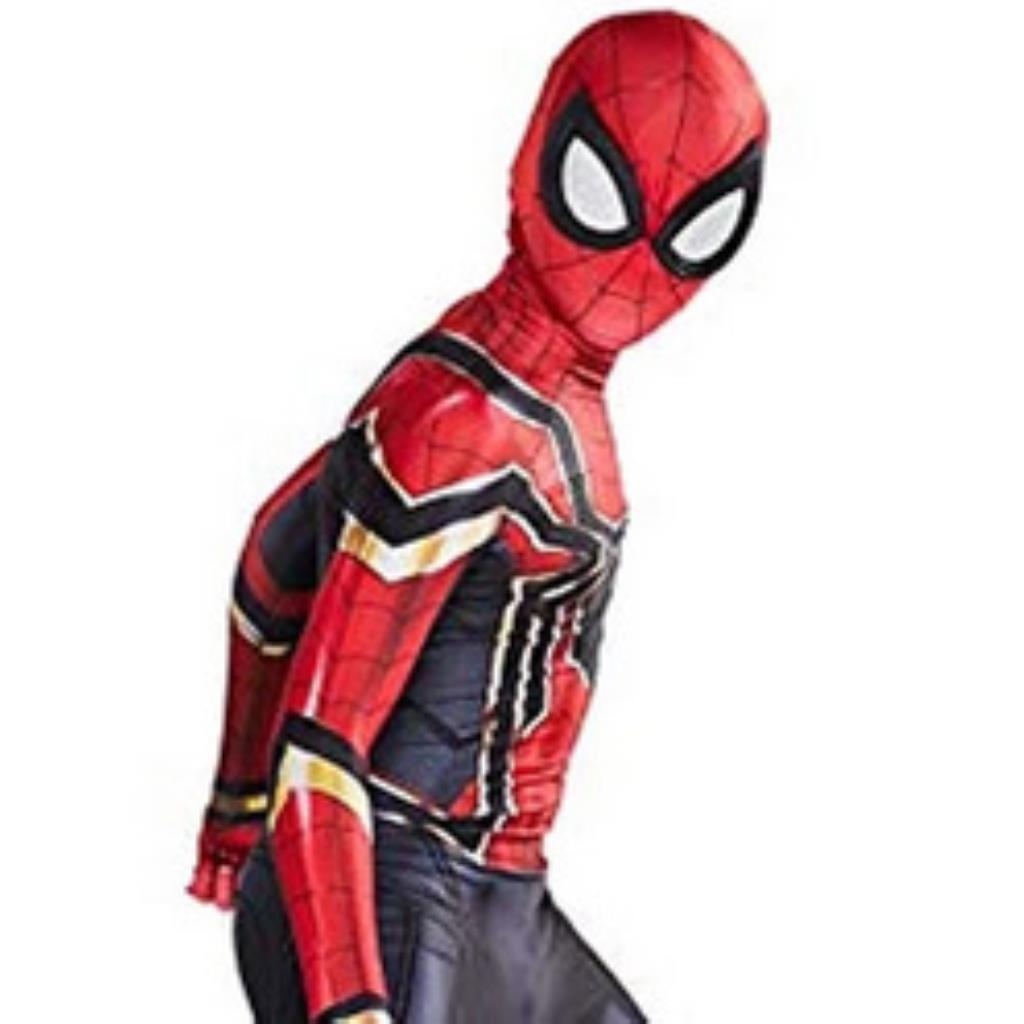 Homem Aranha (Aranha de Ferro)