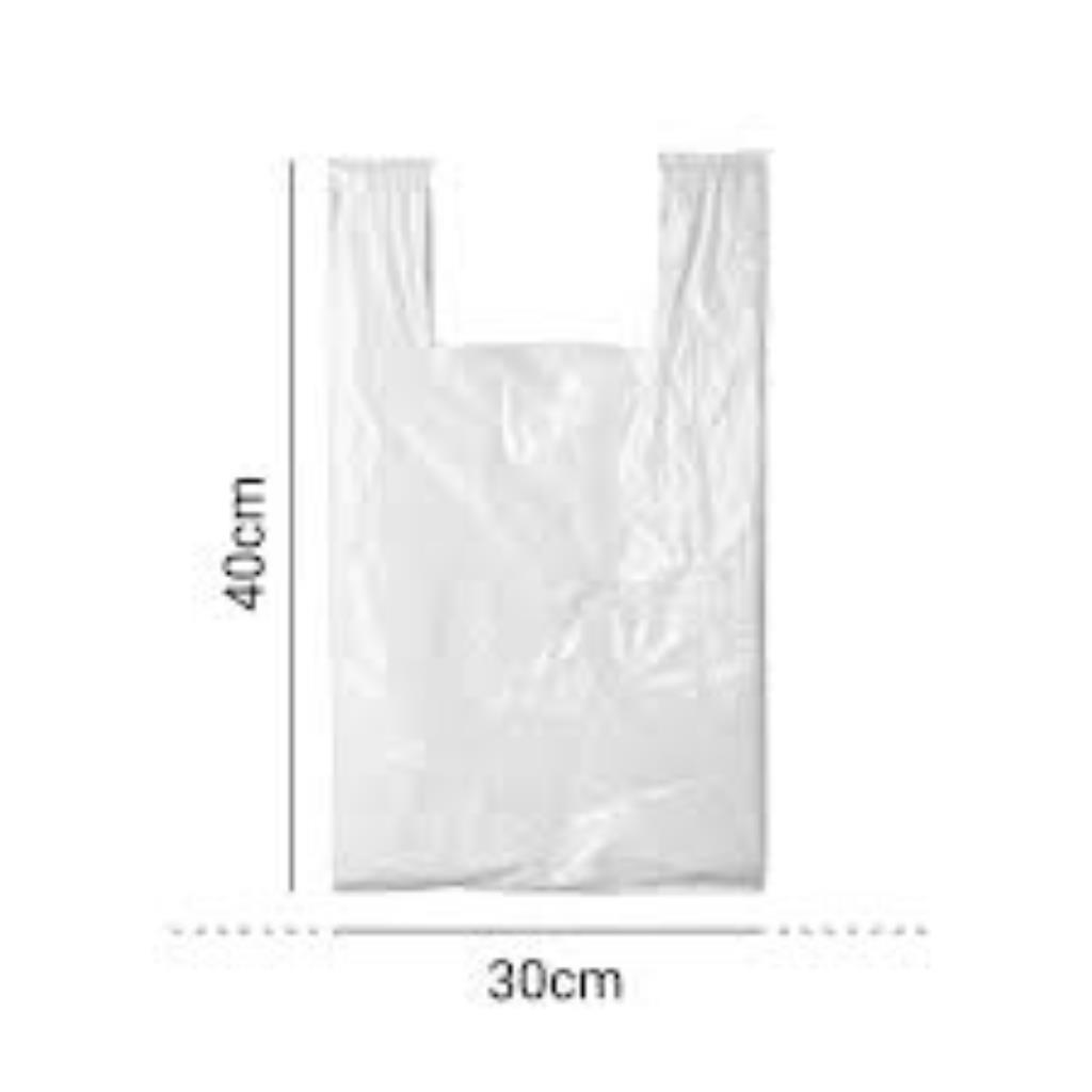 SACOLA MASTER BRENDA 30X40 MARQPLAS 1,5 KG