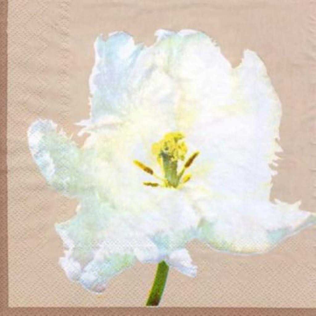 Guardanapo decoupage 33 x 33 " Ipê branco " com 2 peças