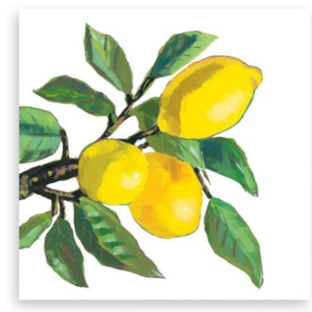 Guardanapo decoupage 33 x 33 Ambiente Limão Musee Branco com 2 peças