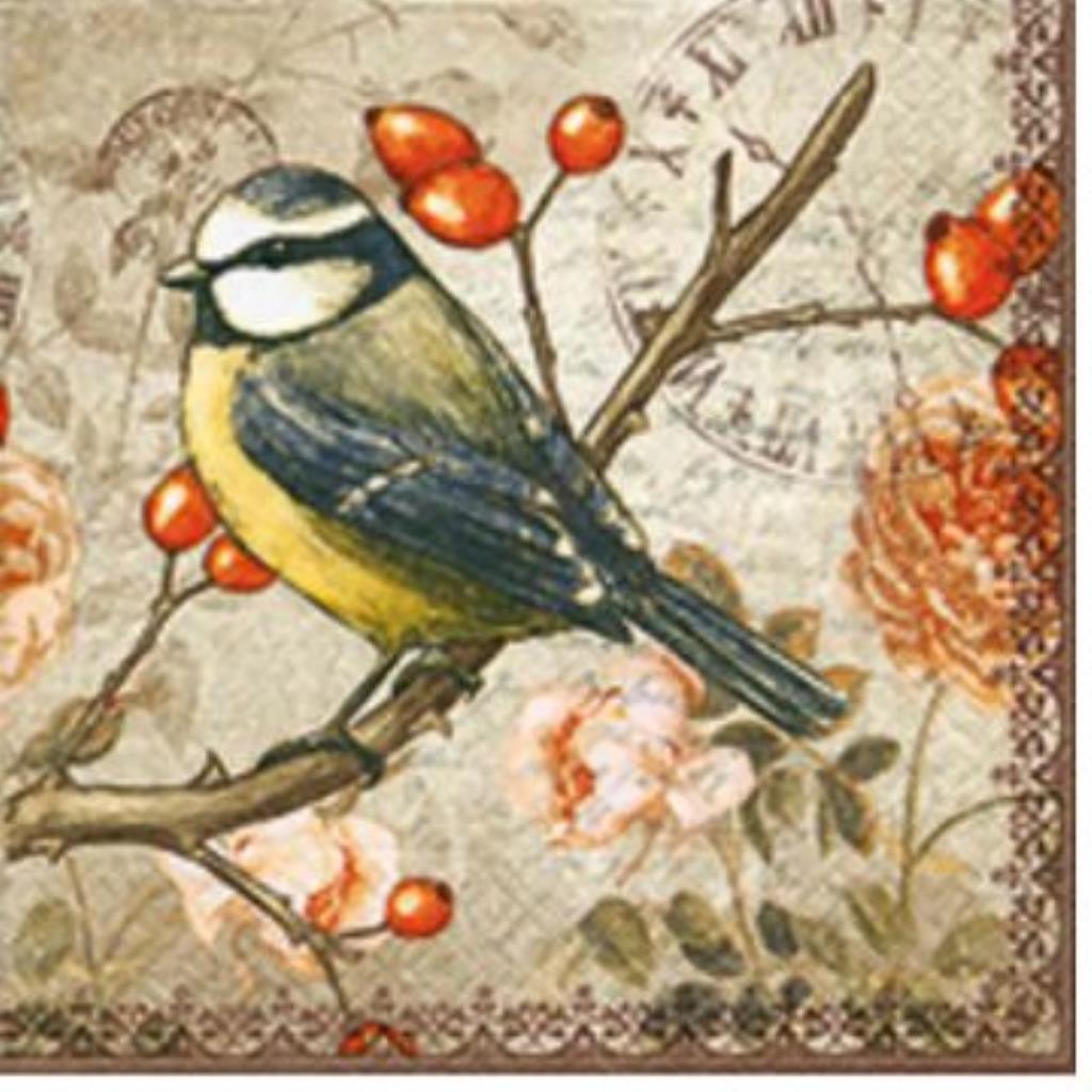 Guardanapo decoupage 33 x 33 " Pássaro " com 2 peças