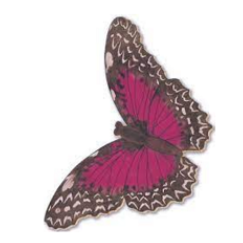 Aplique em Papel e MDF - Borboleta Pink