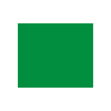 CARTOLINA DUPLA FACE VERDE
