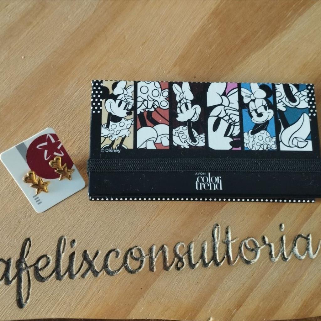 Presente Minnie Sombra