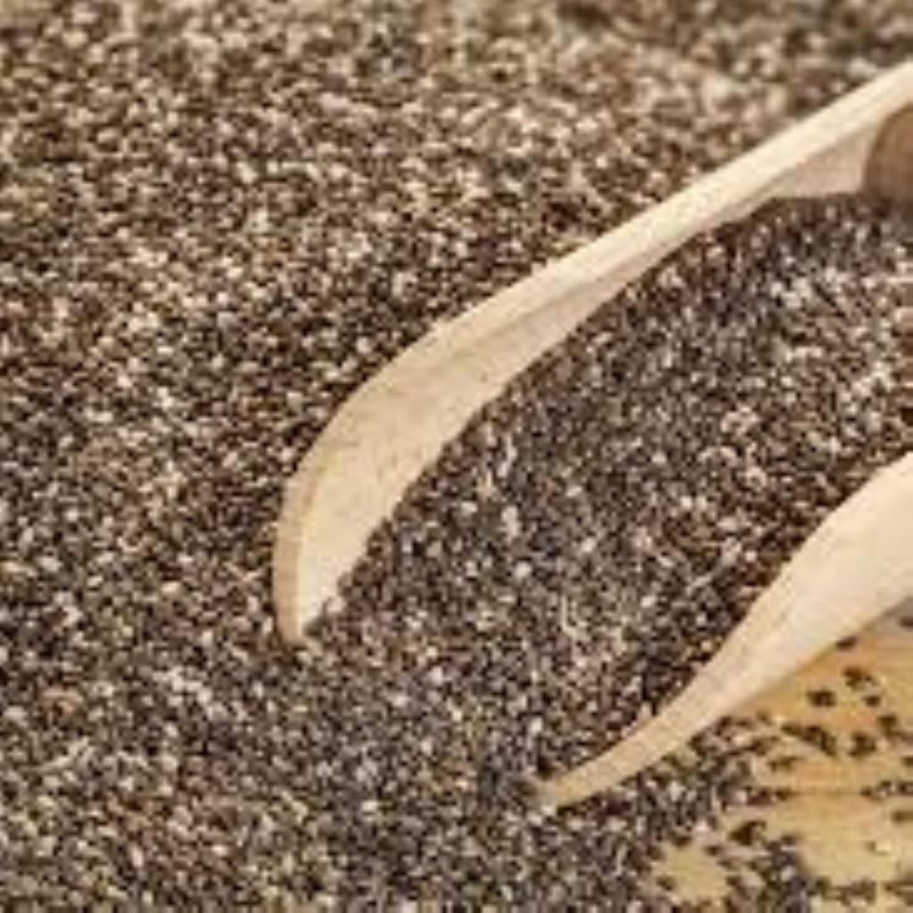 chia temperos baianos 100g