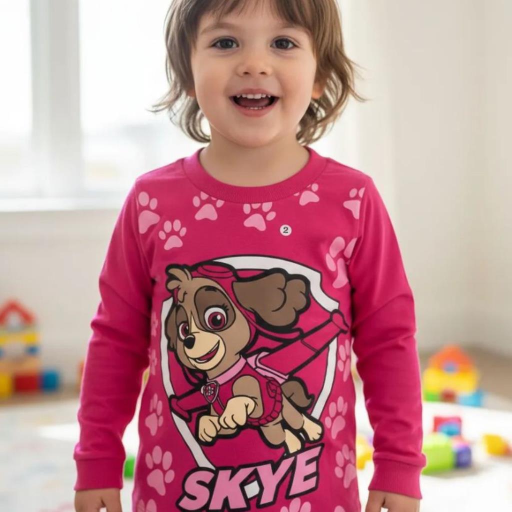 CAMISETA INFANTIL MANGA LONGA PATRULHA CANINA SKY TAMANHO 2