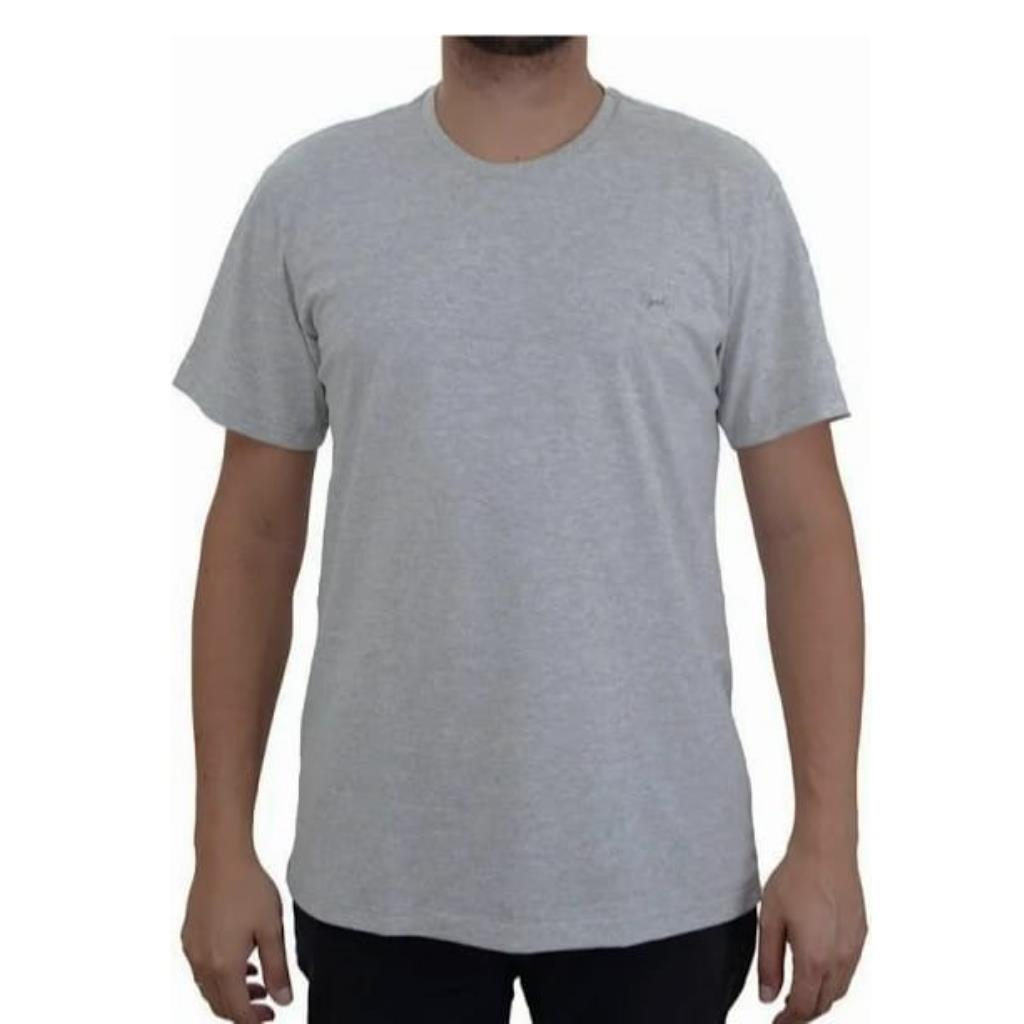 Camiseta Masc Basica Cinza Tam G Ogochi