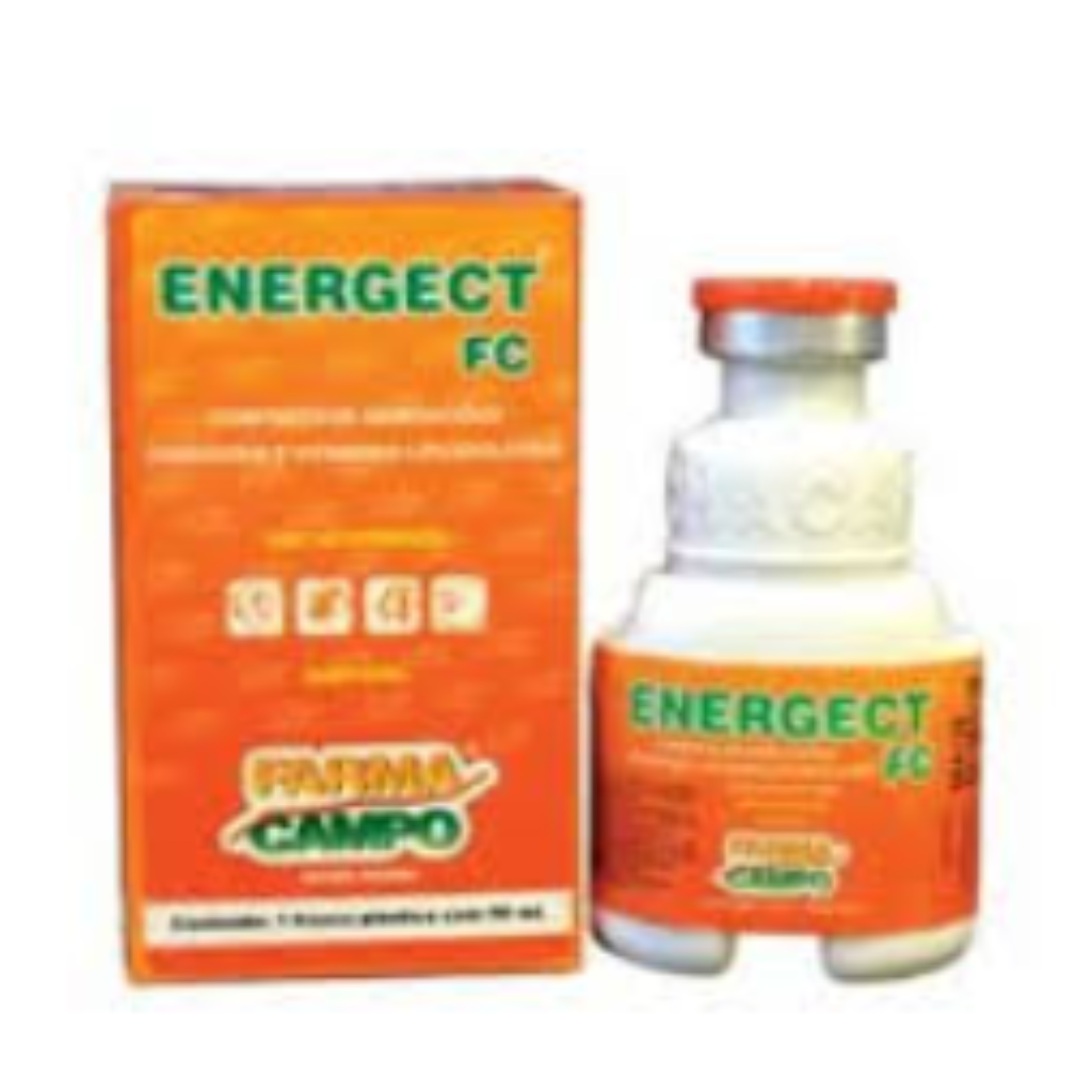 ENERGECT FC 50 ML