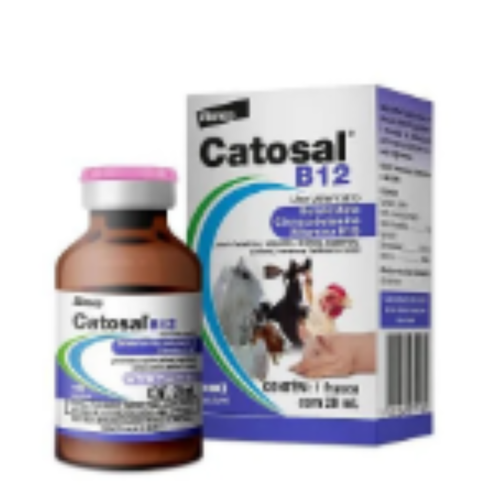 CATOSAL B12 20 ML