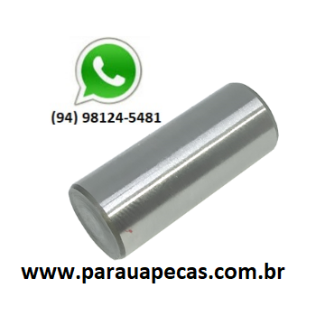 PINO TRAVA ALAVANCA EIXO CAMBIO VW 17-280/31-280 ZF 9S1110TD/16S1455TD 4053202079714 ZF DO BRASIL