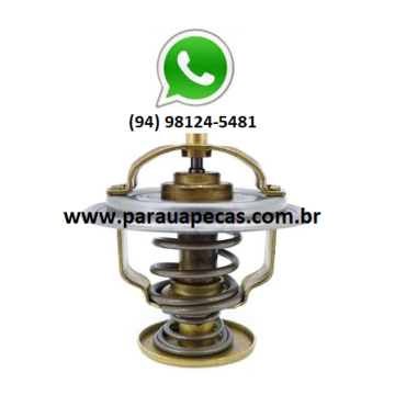 Válvula Termostática VOLVO VM260/VM310 MWM 6.12 7893989106527 MTE