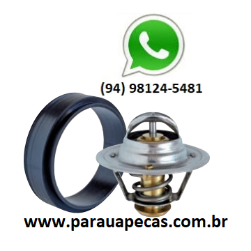 Valvula Termostatica FORD F4000/CARGO 2421 CUMMINS B 3.9/5.9 7893989084672 MTE