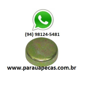 SELO CABEÇOTE MOTOR MB 710/2831 OM364/OM926 25,35MM 2000000000561