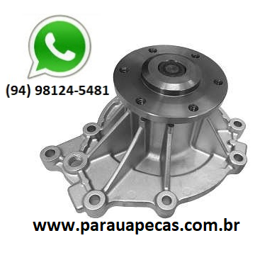 Bomba Dagua VW CONSTELLATION 13-190/23-230 NGD0834 7908189341293
