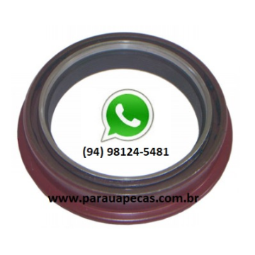 Retentor Diferencial VW 24-220/31-370 6X4 PRINCIPAL ENTRADA 7893337553720 MERITOR