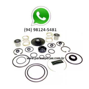 REPARO VALVULA PEDAL VW 7-100/40-300 KNORR 00/... 2000000511395 QUINELATO
