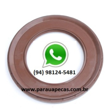 Retentor Diferencial VOLVO FH/FM/NH PINHÃO EV91 4X2/6X2 SIMPLES 7893337581945