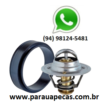 Valvula Termostatica VW 13-170/23-210 CUMMINS B 5.9 7893989084672 MTE